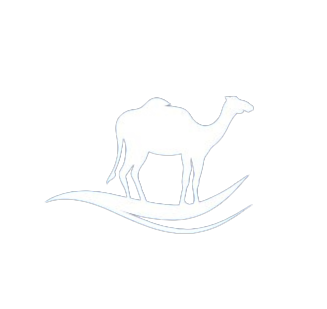 Camel Finance